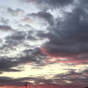 Meet your Posher, Avital